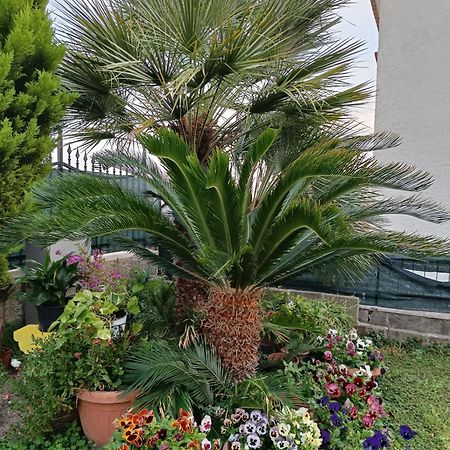 Bed And Breakfast Angolo Fiorito Civitavecchia Buitenkant foto