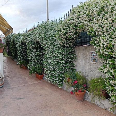 Bed And Breakfast Angolo Fiorito Civitavecchia Buitenkant foto