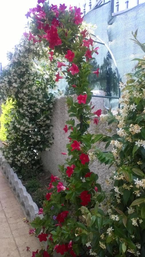 Bed And Breakfast Angolo Fiorito Civitavecchia Buitenkant foto