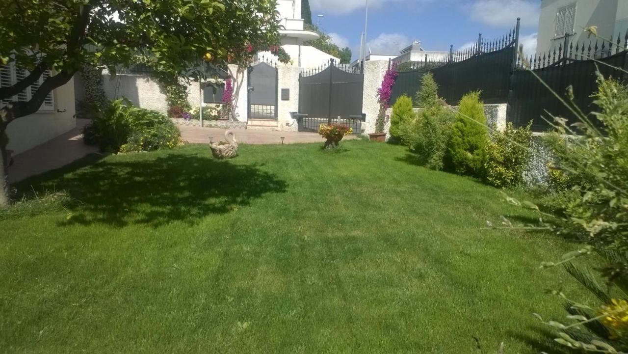 Bed And Breakfast Angolo Fiorito Civitavecchia Buitenkant foto