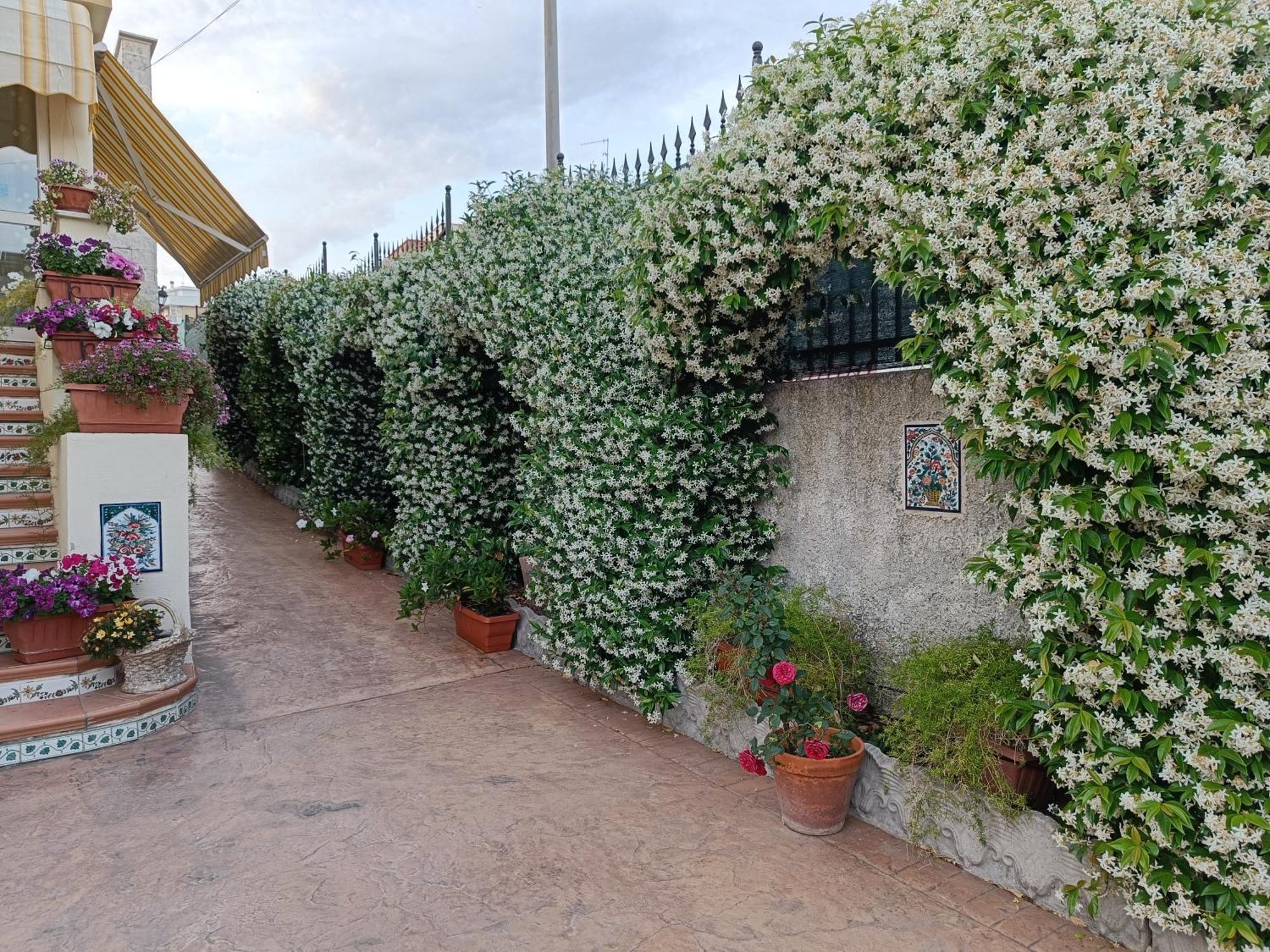 Bed And Breakfast Angolo Fiorito Civitavecchia Buitenkant foto
