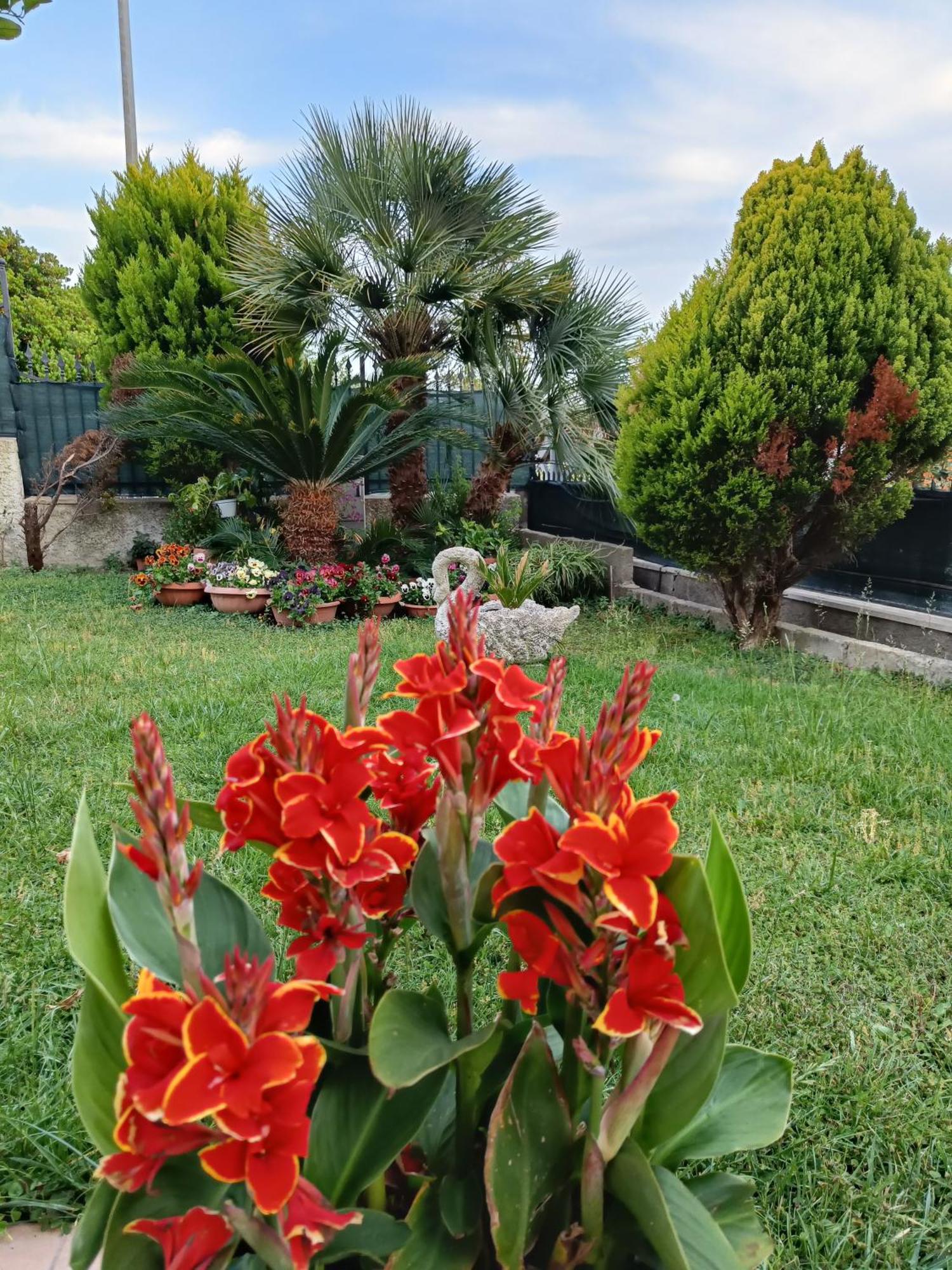 Bed And Breakfast Angolo Fiorito Civitavecchia Buitenkant foto