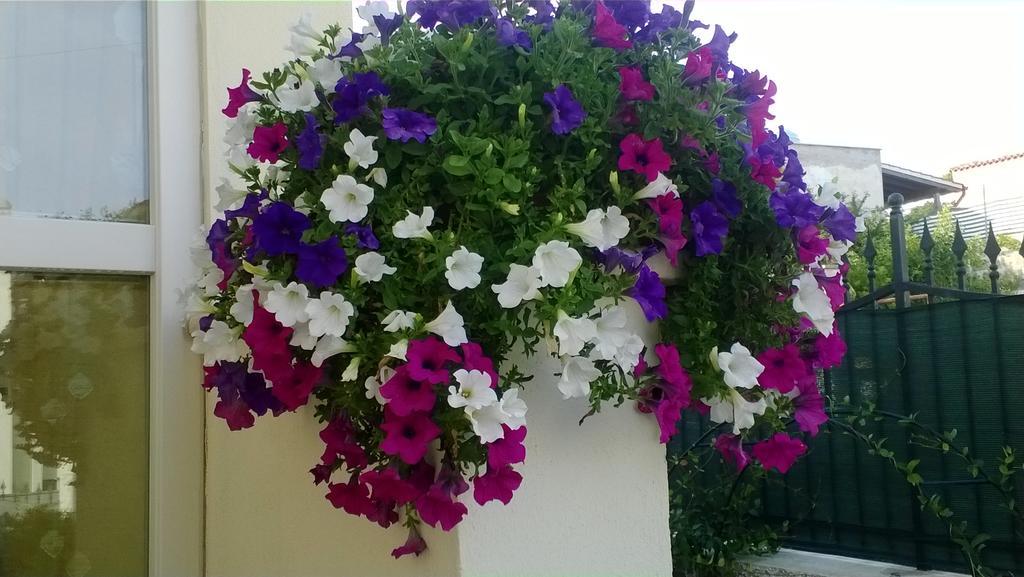 Bed And Breakfast Angolo Fiorito Civitavecchia Buitenkant foto