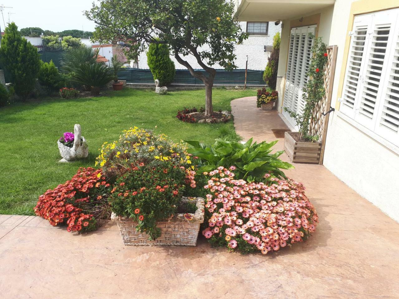 Bed And Breakfast Angolo Fiorito Civitavecchia Buitenkant foto